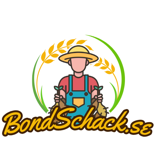 BondSchack